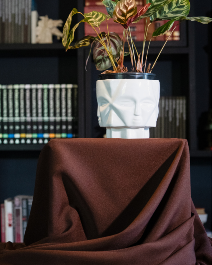Decorative plant in a white pot plant holder on a draped brown cloth with a dark background