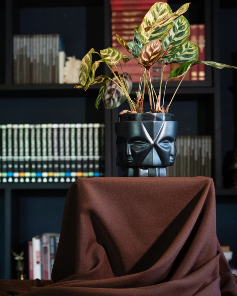 Potted plant in a white ceramic Planter on a table with a dark background featuring books and decor items