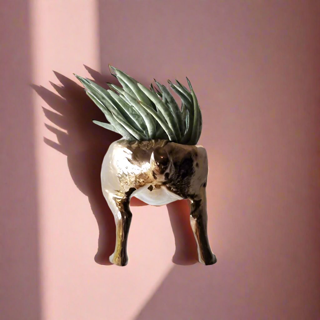 Raz The Riverine Rabbit Wall Planters