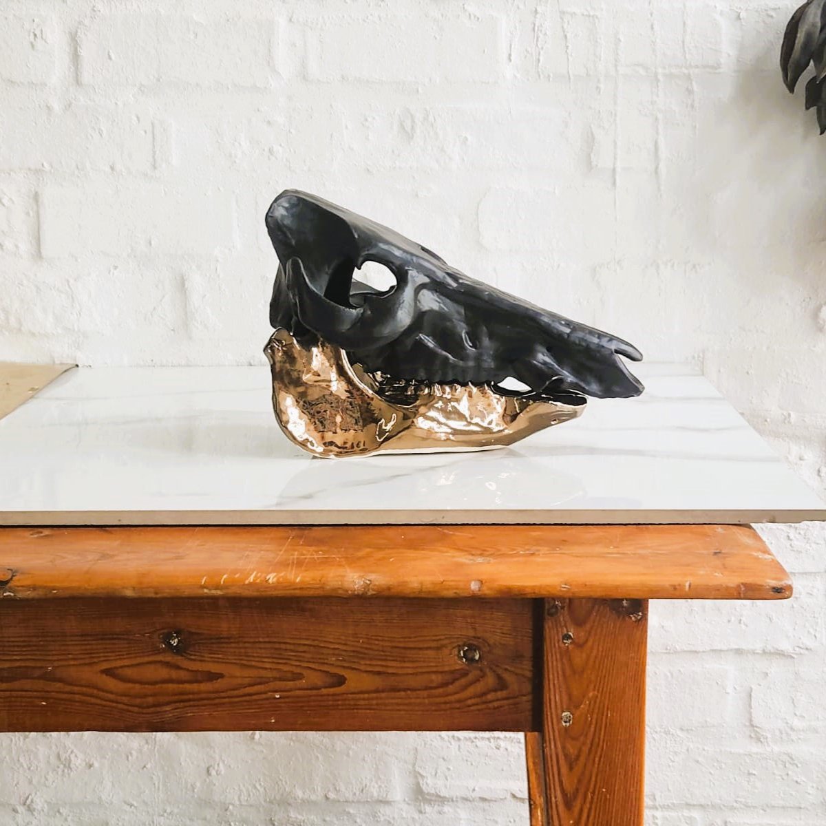 Skull & Jaw Object (Made to Order)