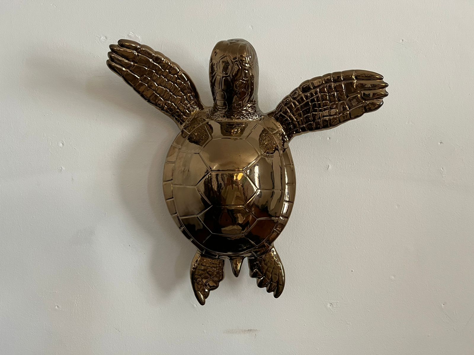 Large Sea Turtle