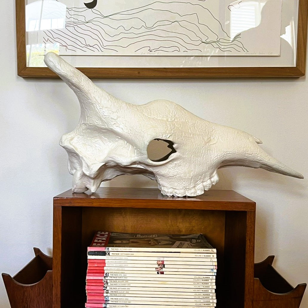Giraffe Skull