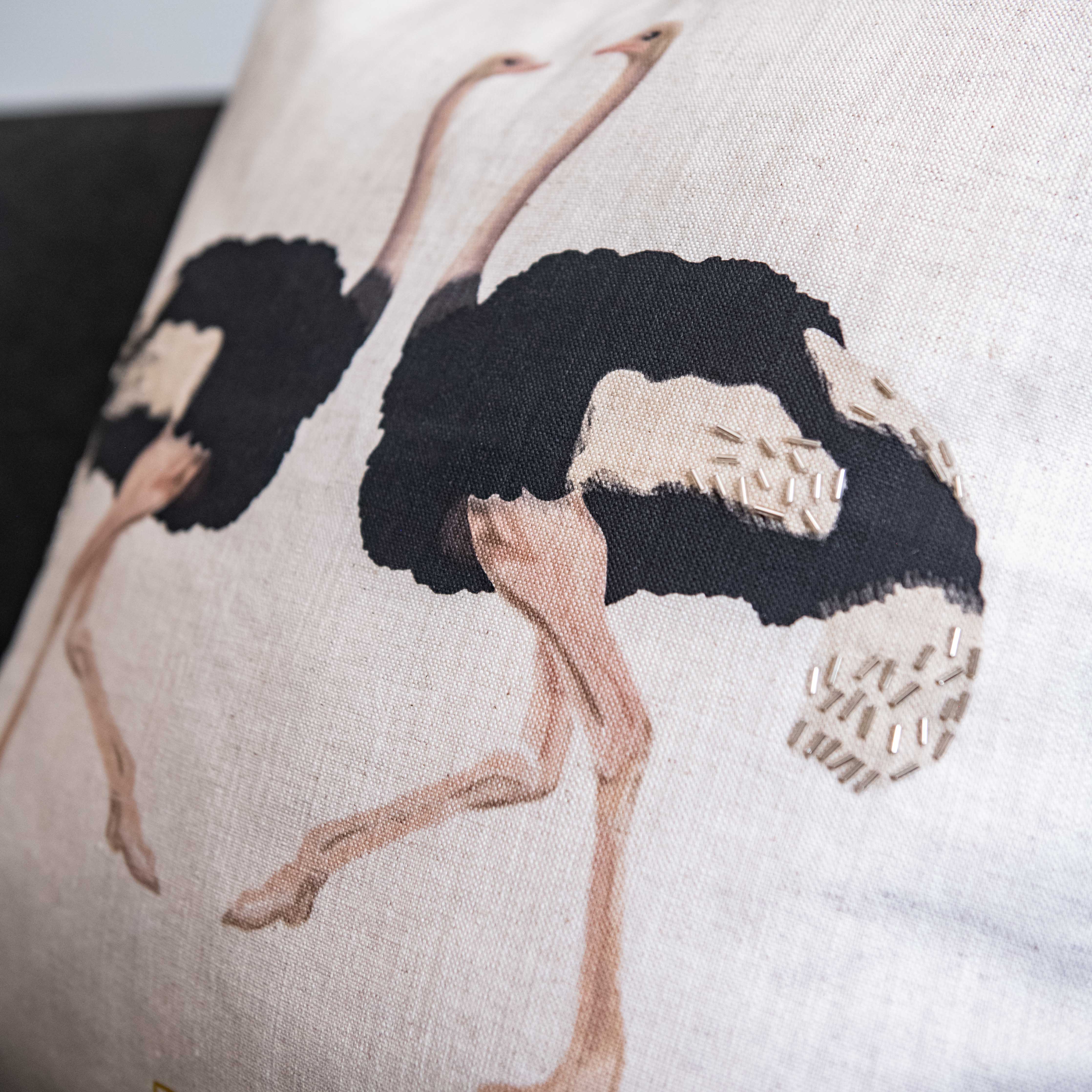 An African Farm Ostrich Scatter Cushion & Inner
