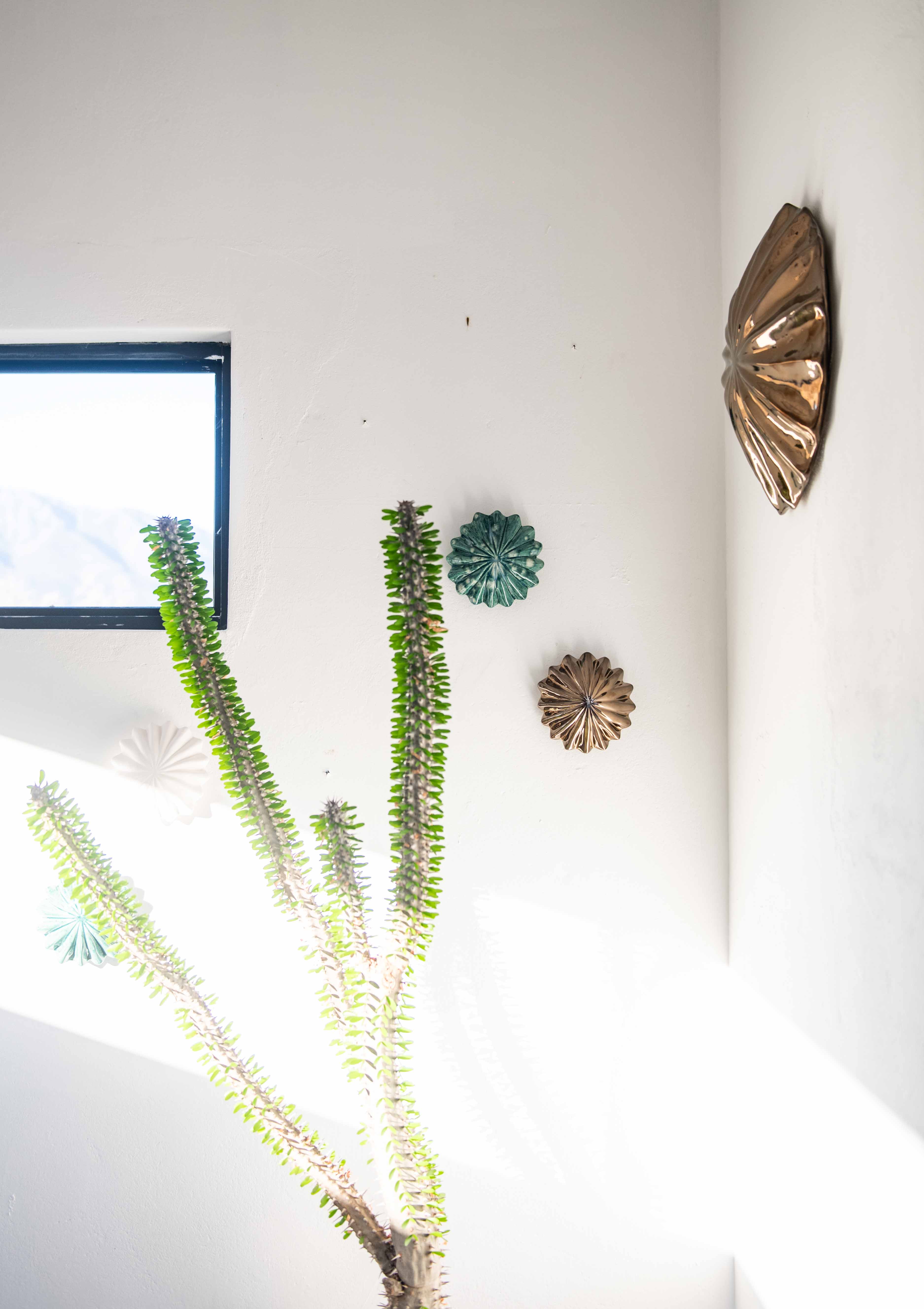 Large Anemone Wall Decor