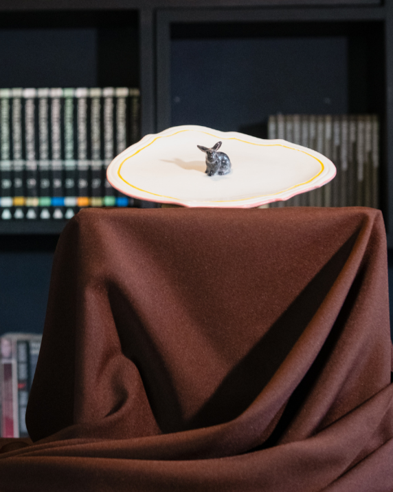 Dark room with a bookshelf and draped fabric covering and showing off a vintage shaped ceramic plate that is being hand painted by rialheim with a Riverine Rabbit in the middle of the plate
