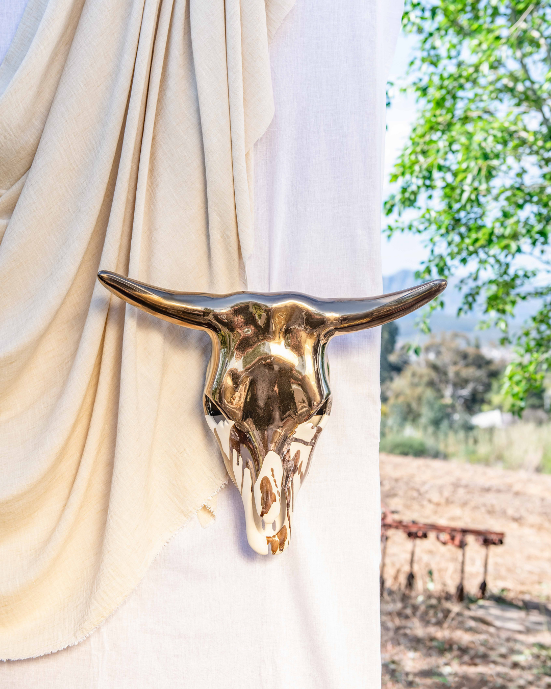 Decorative bull skull wall art with a blurred outdoor background