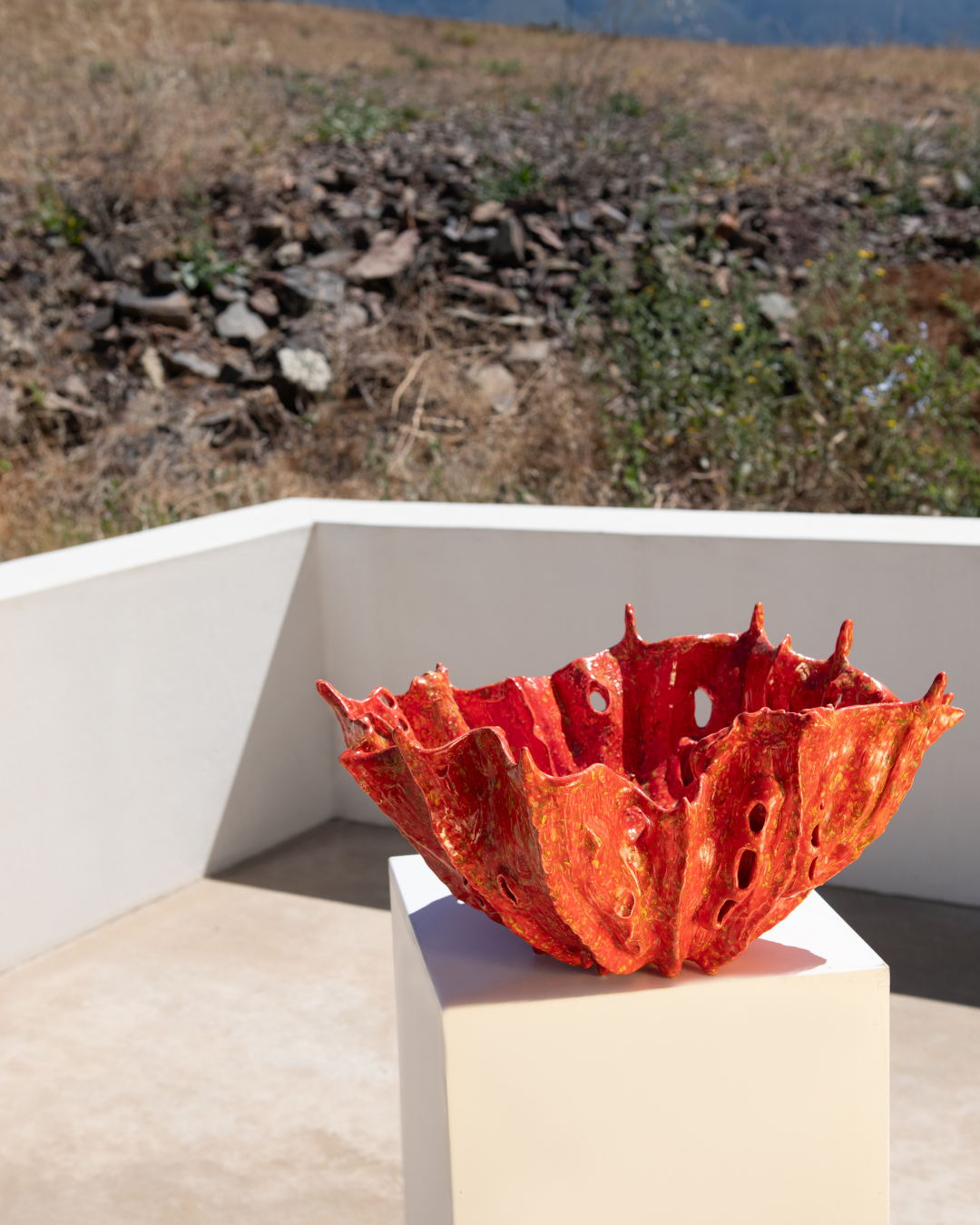 Red ceramic bowl on a pedestal with a natural landscape in the background made by rialheim
