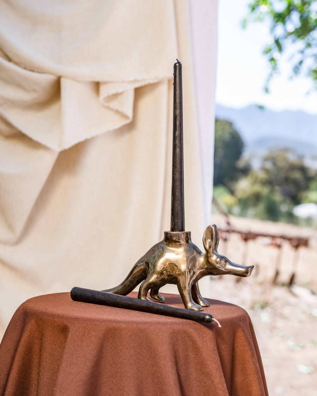 bronze Aardvark candle Holder on a brown cloth in nature