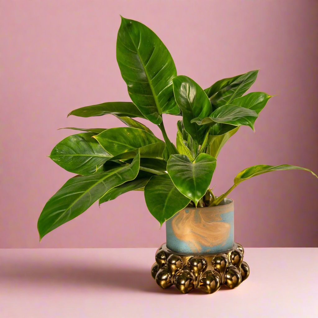 Osmosis Pot Plant Holder - Rialheim 