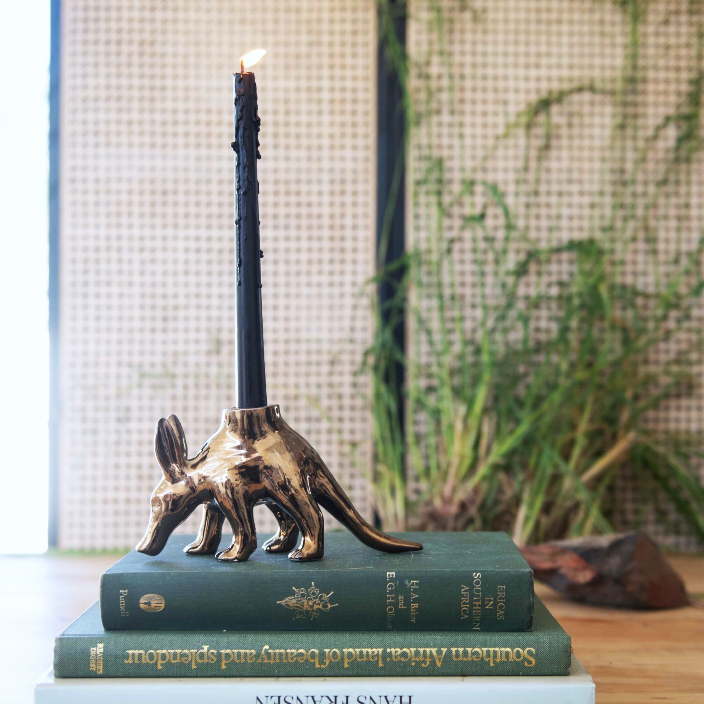 Little $hit Aardvark #2 Candle Holder - Rialheim 