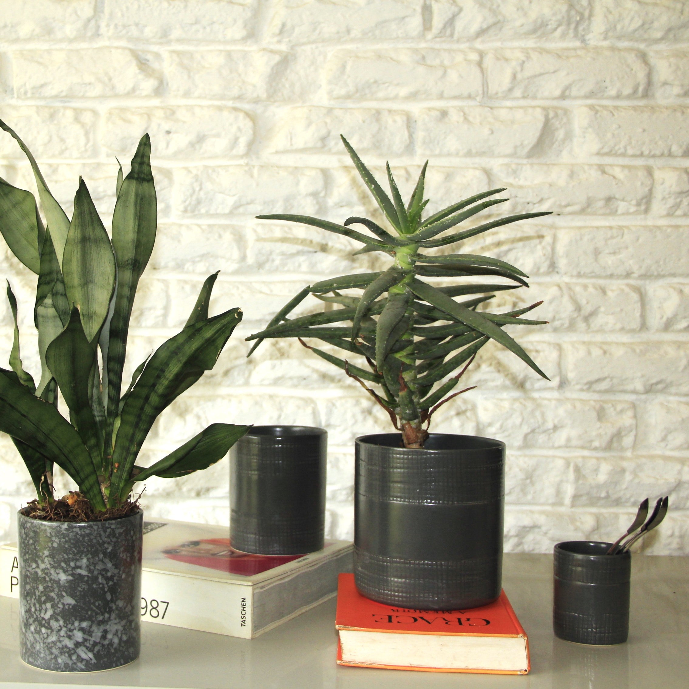Medium Planter # 1 Charcoal
