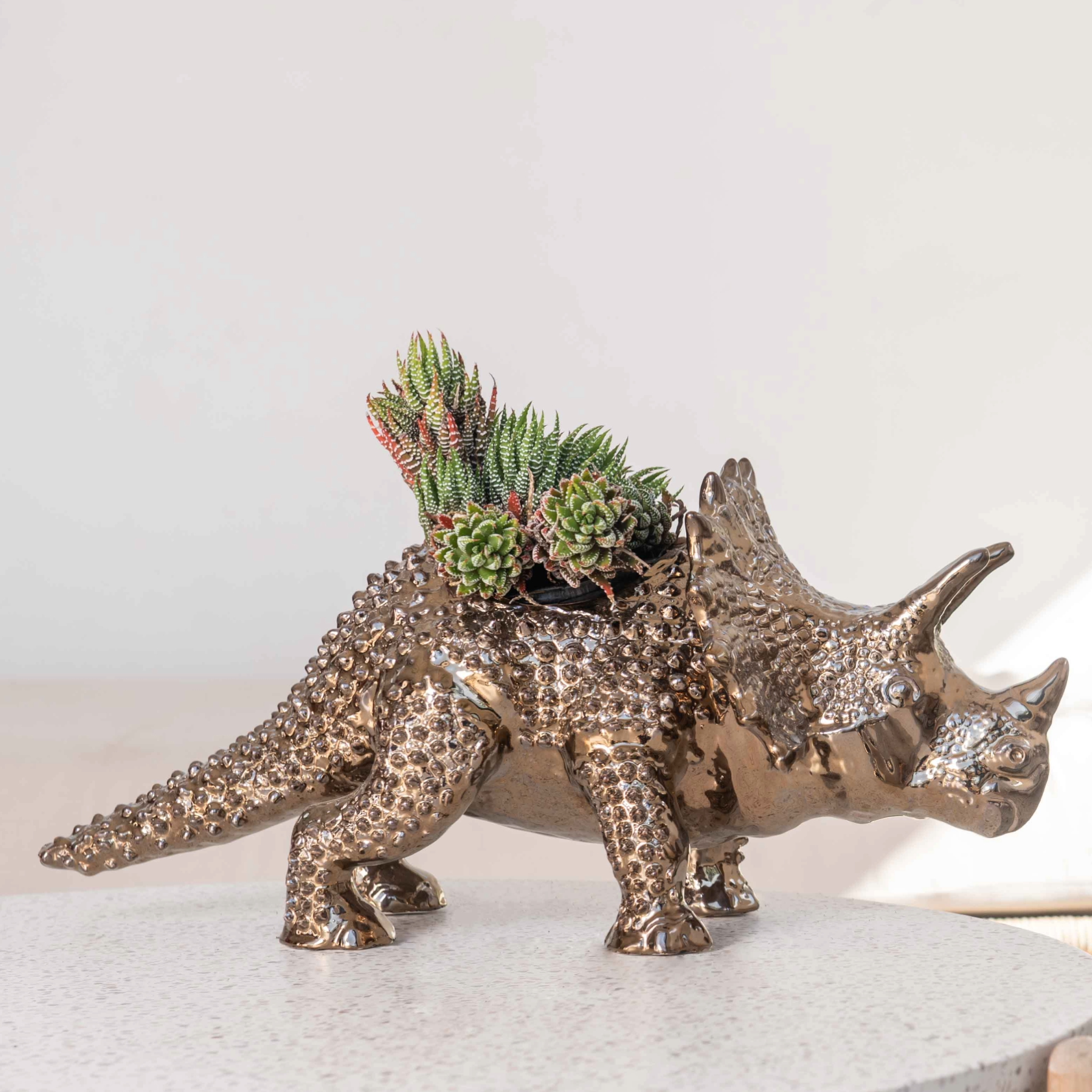 Dan The Dino Planter - Rialheim 