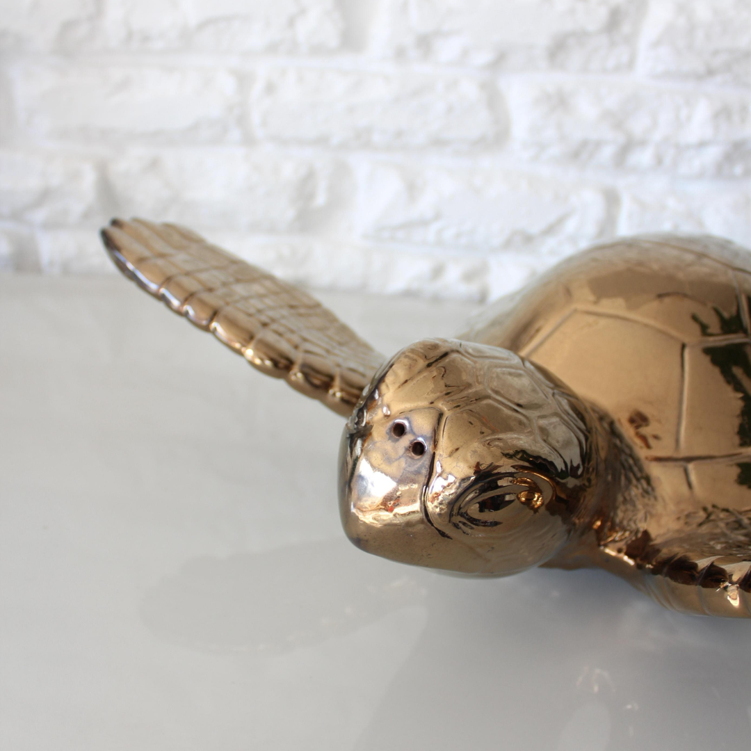 Large Sea Turtle
