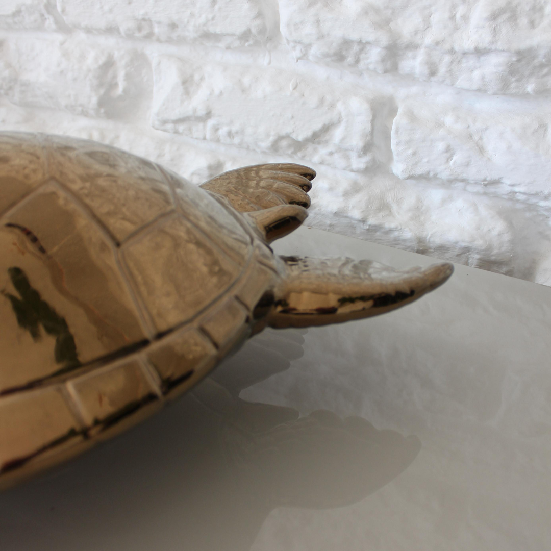 Large Sea Turtle