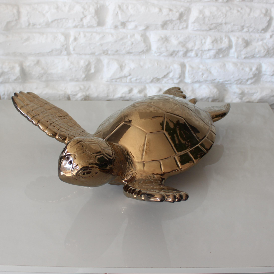Large Sea Turtle