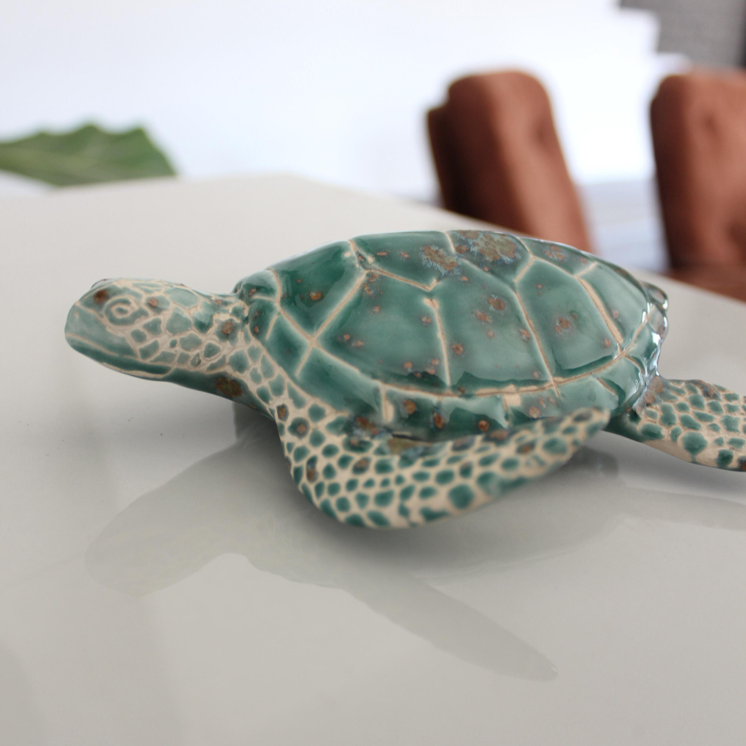 Baby Sea Turtle