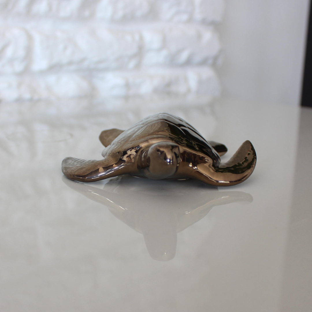 Baby Sea Turtle