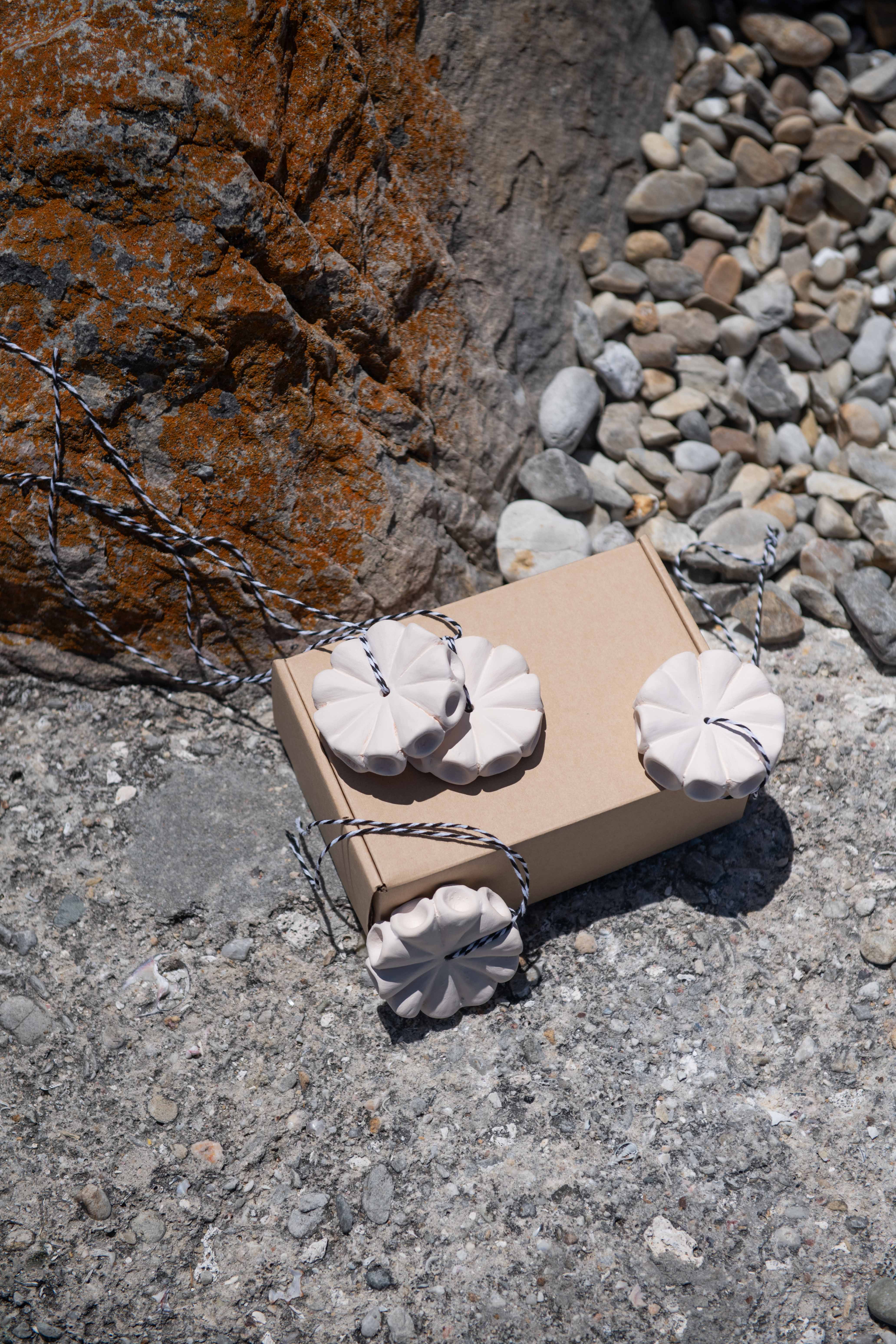 Cardboard box with white pumpkins on a rocky surface