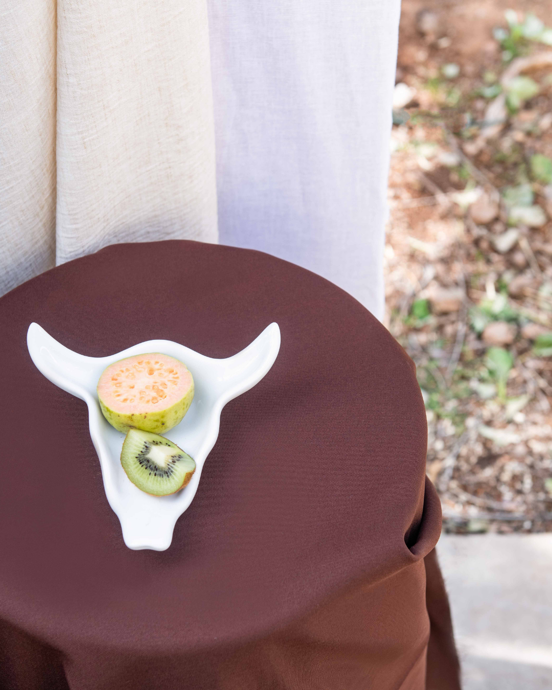 White cow skull decorative dish with sliced fruits on a brown surface outdoors