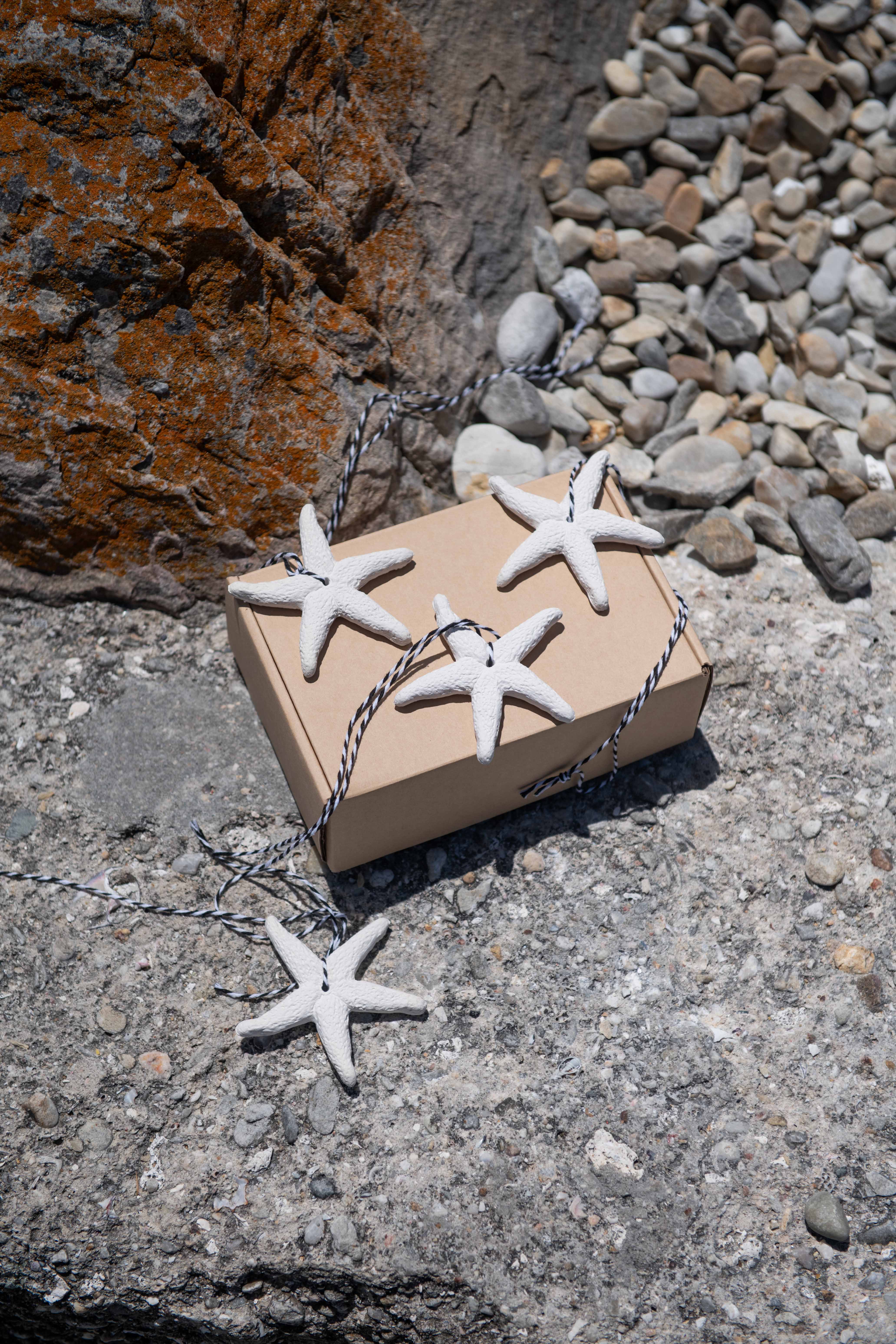 Starfish decorations on a cardboard box against a rocky background