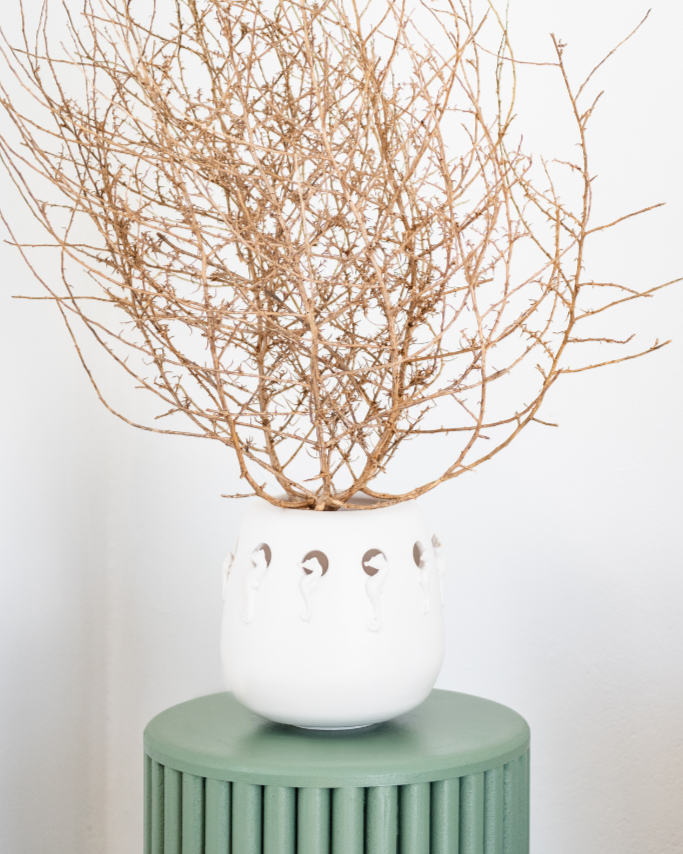 The Rialheim Theasen Island Sea Horse planter in matt White