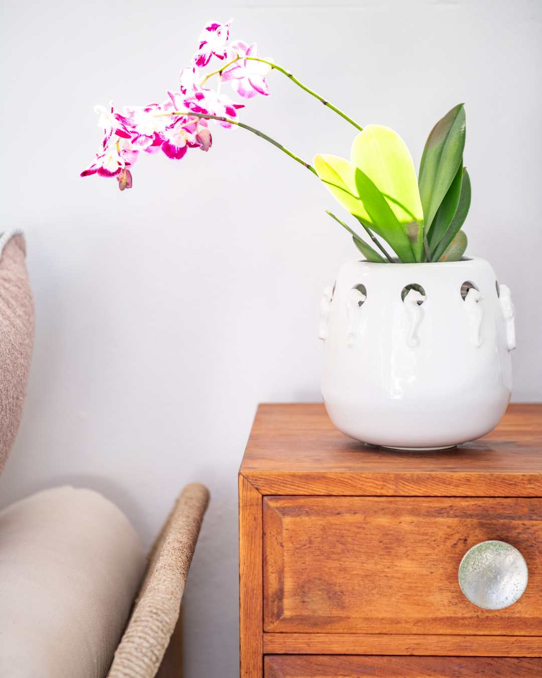 White seahorse ocean planter from rialheim in ceramic 