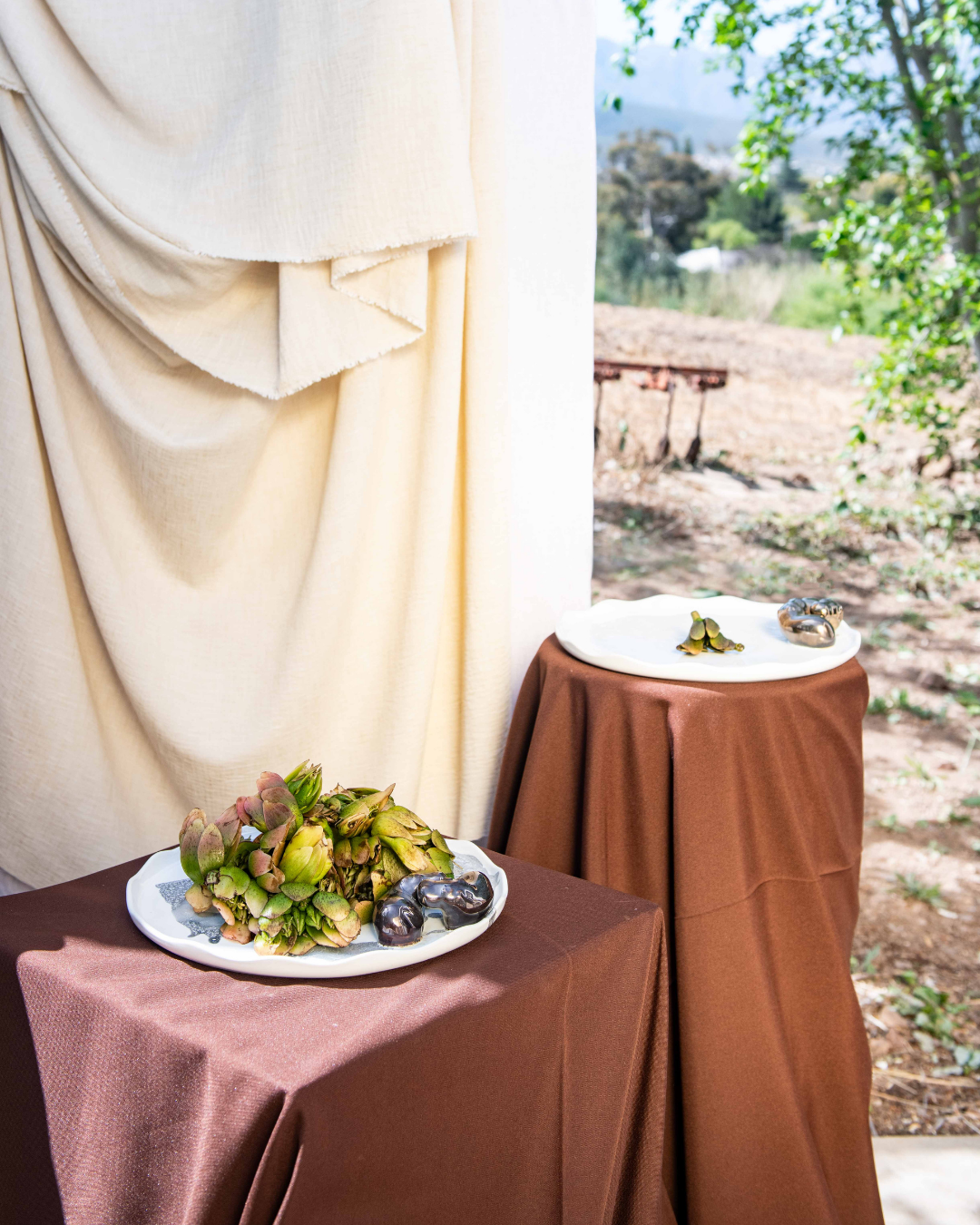 Plated dish of food on a brown tablecloth with a scenic background