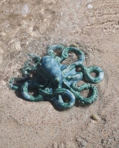 Feeling Shy Baby Octopus Rialheim 