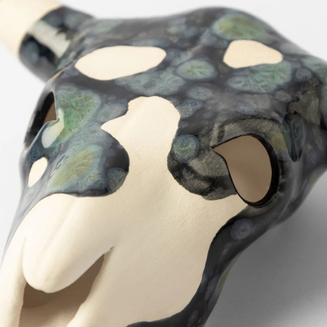 Hand Painted Large Cow Skull - OBSIDIAN
