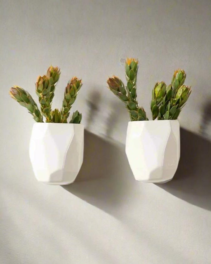 MOONROCK PLANTER LARGE - Rialheim 