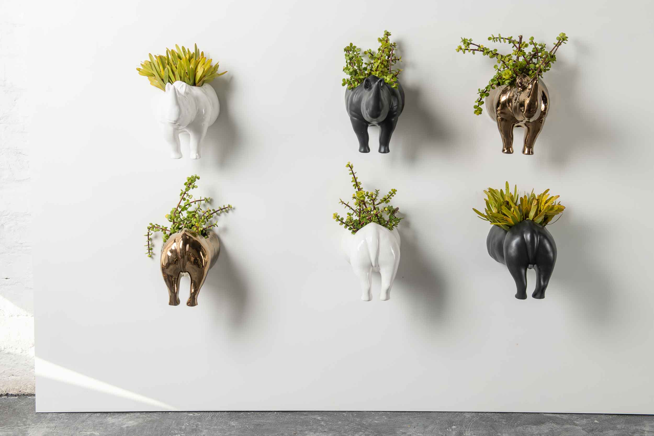 RHINO WALL PLANTER HEAD / TAIL - Rialheim 