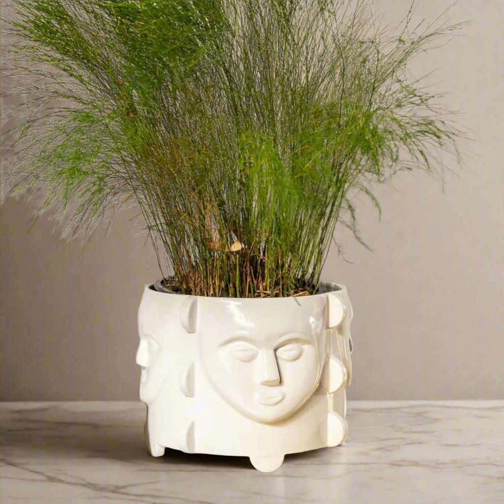 BOTANIST POT PLANT HOLDER - Rialheim 