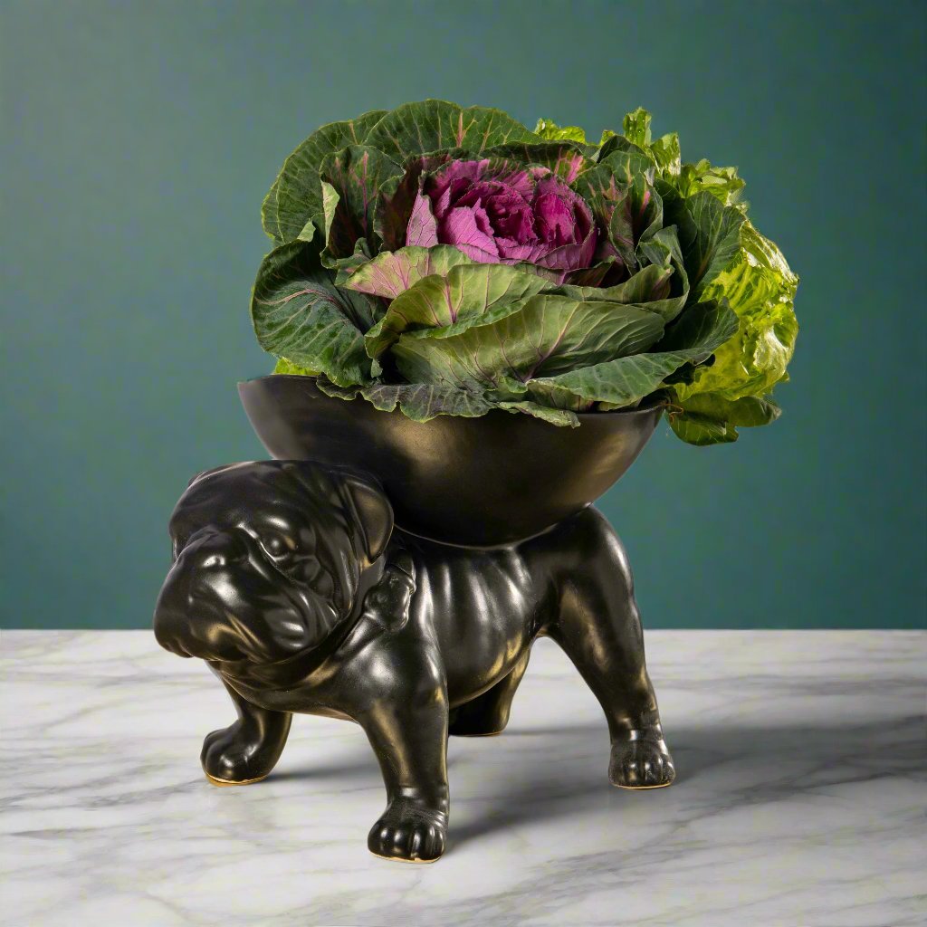 BRUTUS BULLDOG BOWL EXTRA LARGE - Rialheim An extra large fruit bowl in the shape of a bulldog, with a wrinkled face, pushed-in nose,