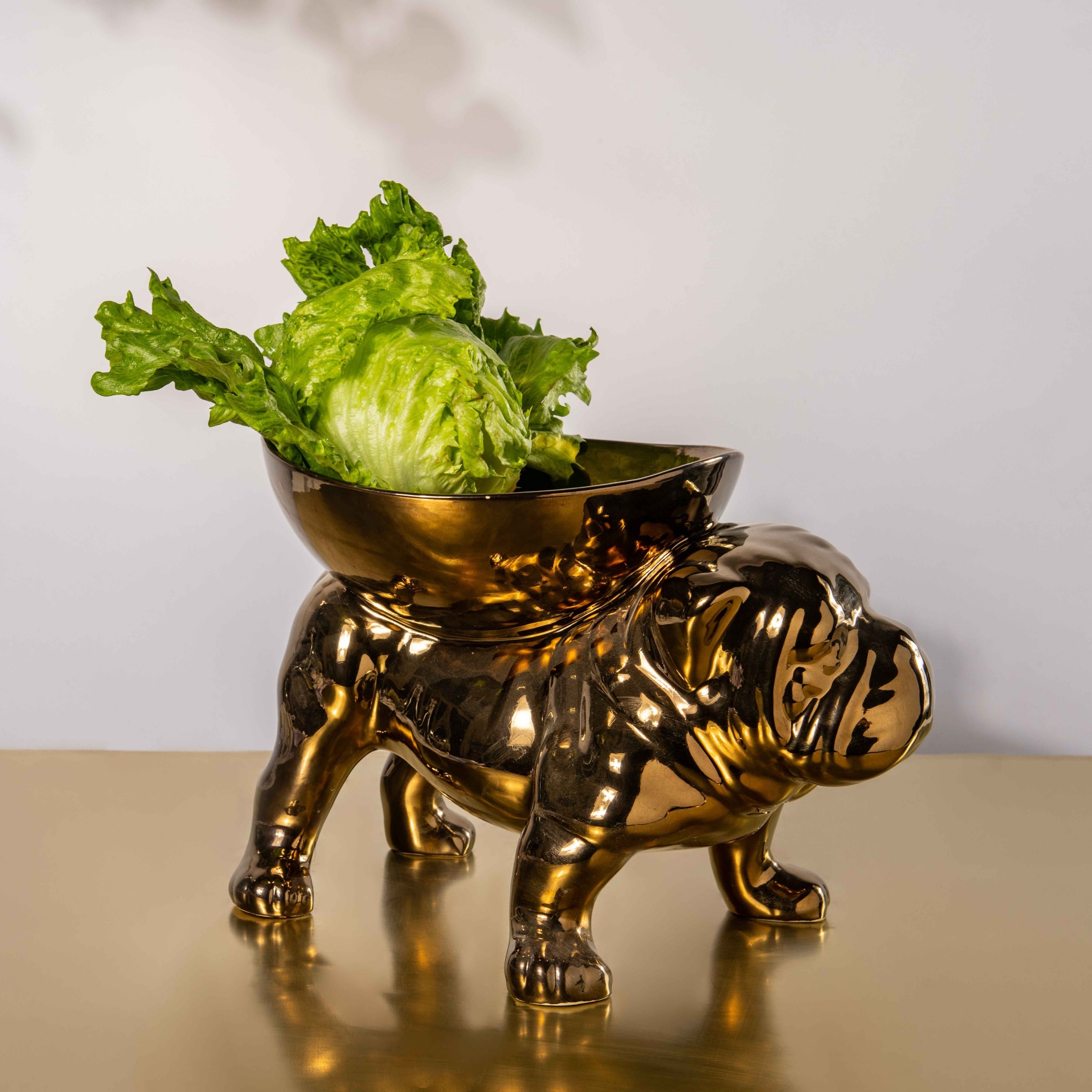 BRUTUS BULLDOG BOWL EXTRA LARGE - Rialheim  An extra large fruit bowl in the shape of a bulldog, with a wrinkled face, pushed-in nose, and a golden-brown finish
