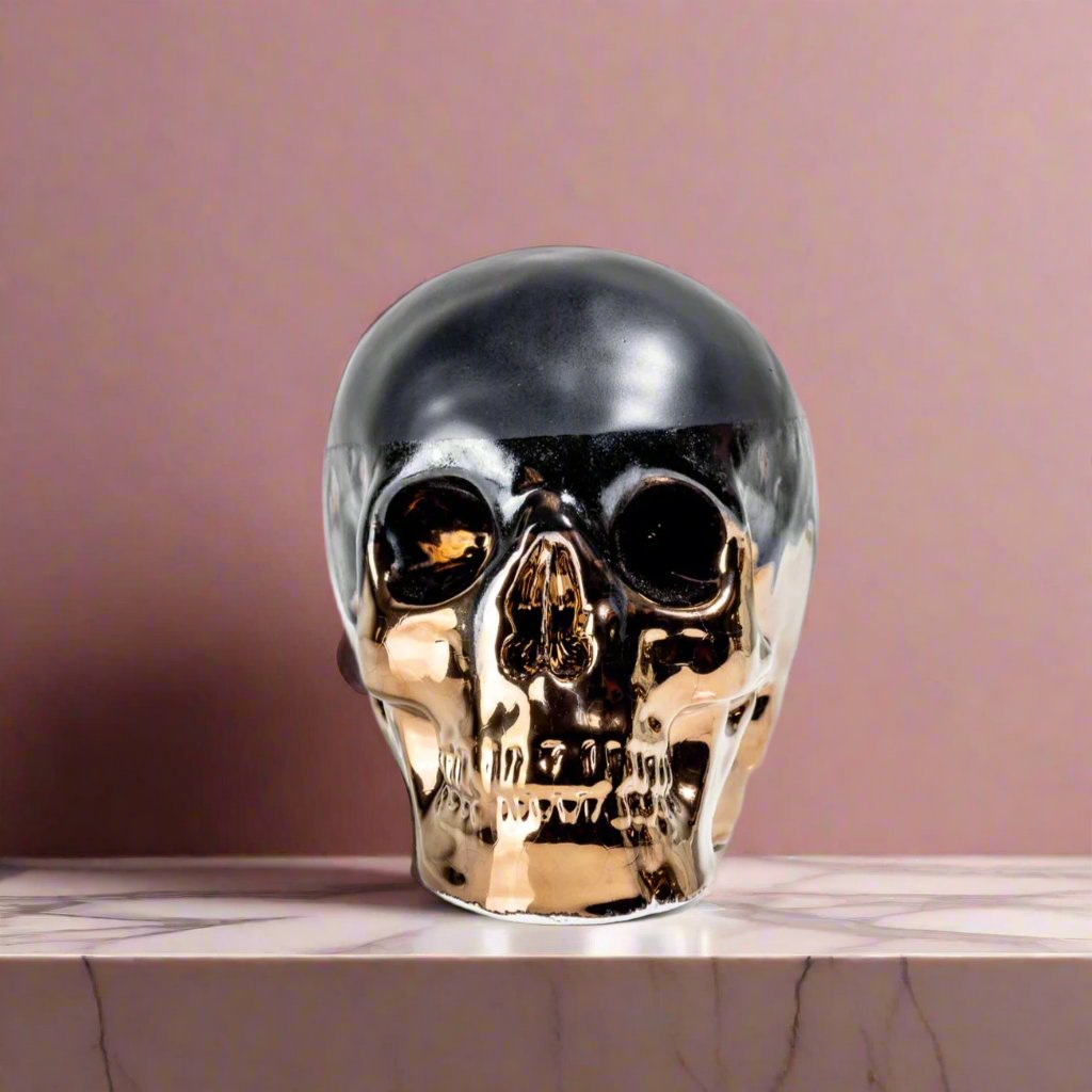 Human Skull - Rialheim 